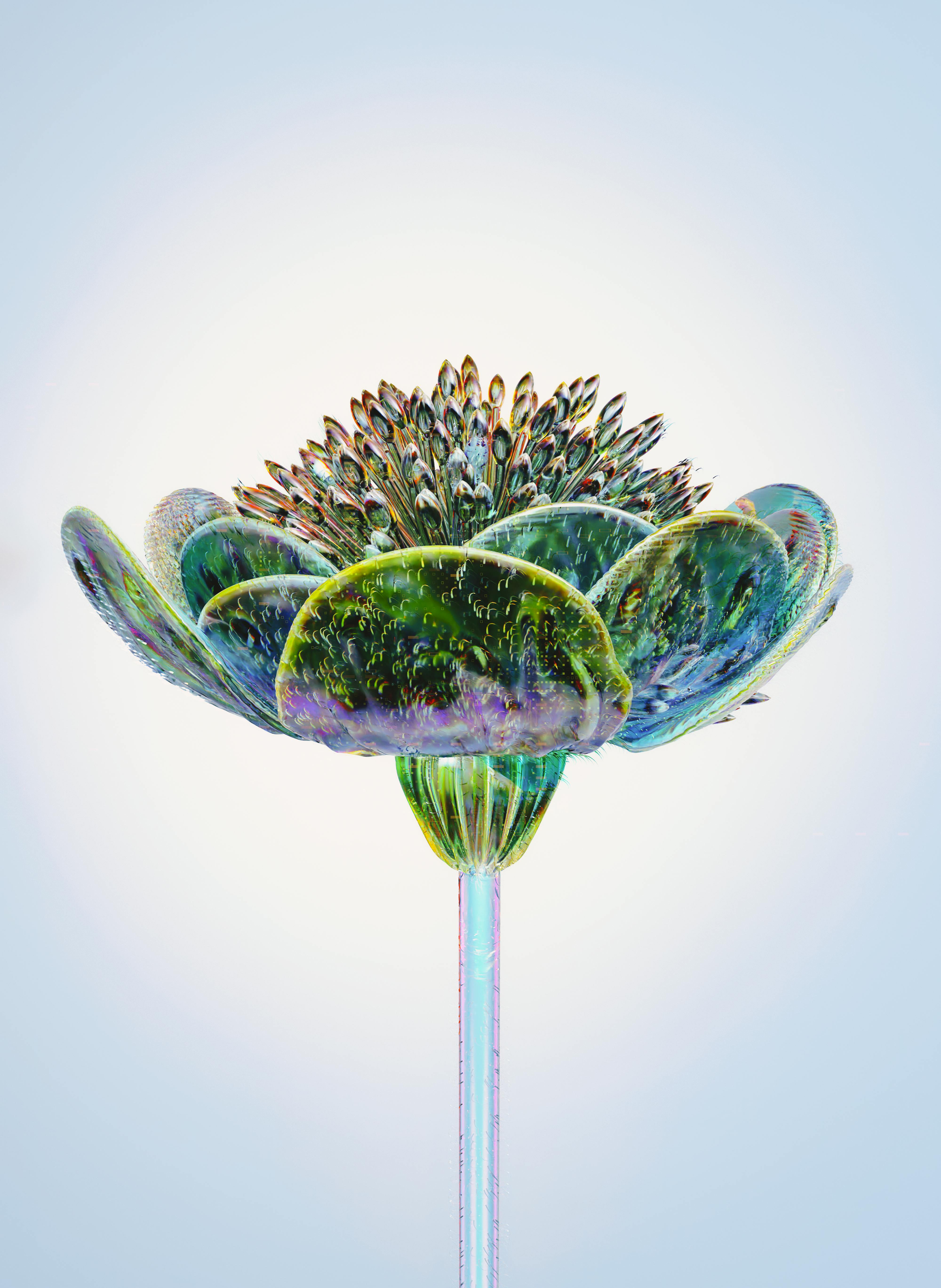 Illustration